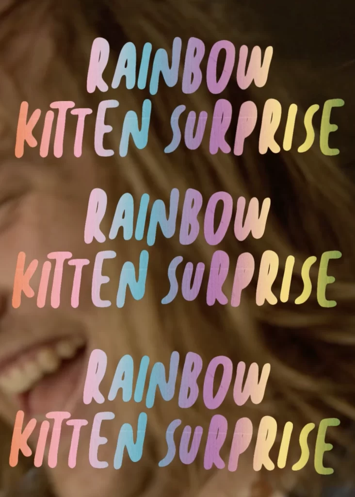 Rainbow Kitten Surprise